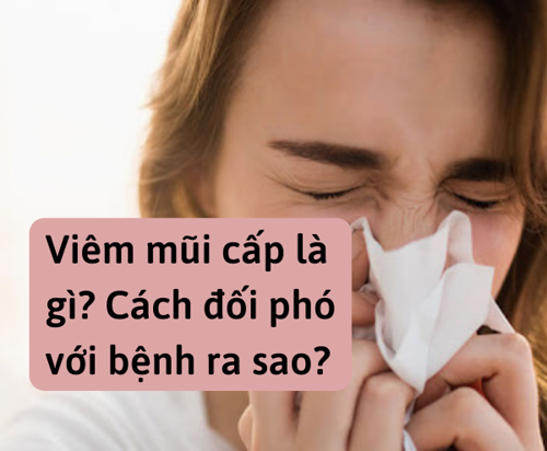 Viêm mũi cấp là gì? Cách đối phó với bệnh ra sao?